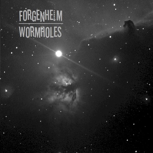 Wormholes