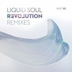 Revolution Remixes, Part 01