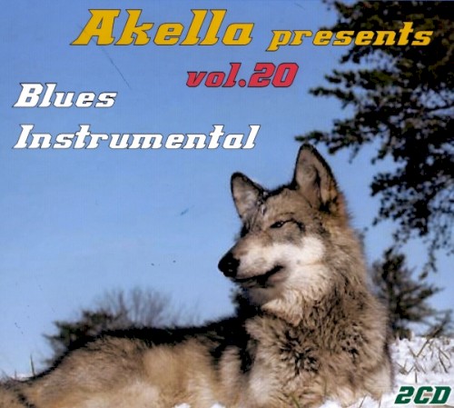 Akella Presents – Vol. 20: Blues Instrumental