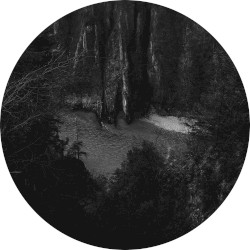 Going Deeper, Vol. 7