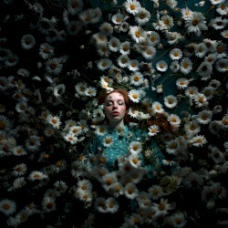 Eaten by Daisies