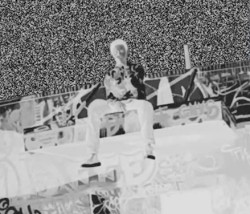 WHITENOISE