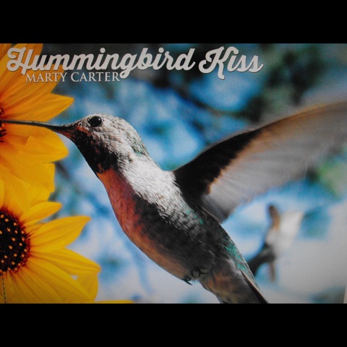 Hummingbird Kiss