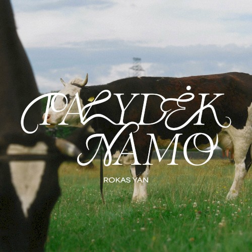 Palydėk namo