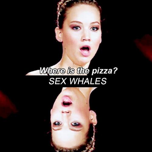 Where Is the Pizza
