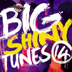 Big Shiny Tunes 14