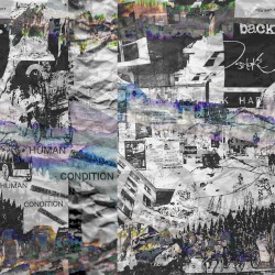 Human Condition