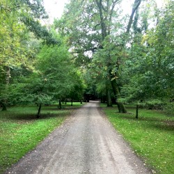 Soundwalk – Fota Wildlife Park