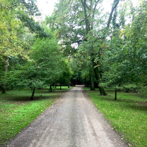 Soundwalk – Fota Wildlife Park
