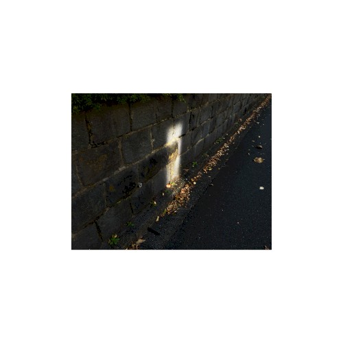 Shota Nakamura [single mix]