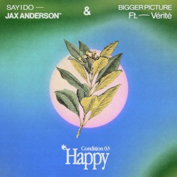 HAPPY: Bigger Picture / Say I Do