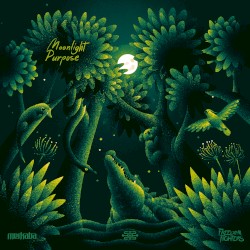Moonlight Purpose