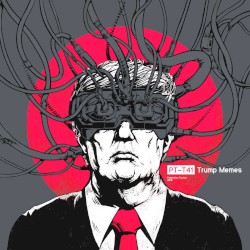 Trump Memes