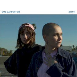 Ditch