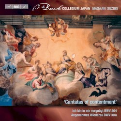 Secular Cantatas, Volume 10: Cantatas of contentment