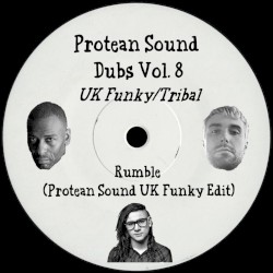 Protean Sound Dubs Vol. 8 (UK Funky/Tribal)
