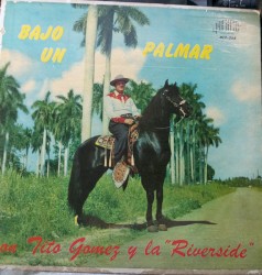 Bajo un palmar