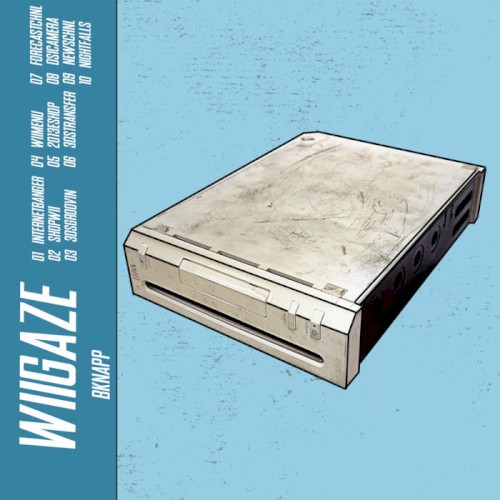 WiiGaze