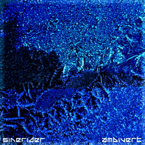 Ambivert