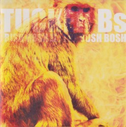 Bish Bosh II: The Bosh Bosh