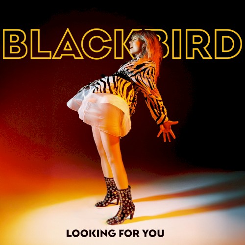 Looking for You