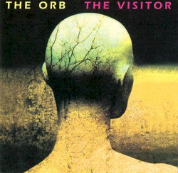 The Visitor