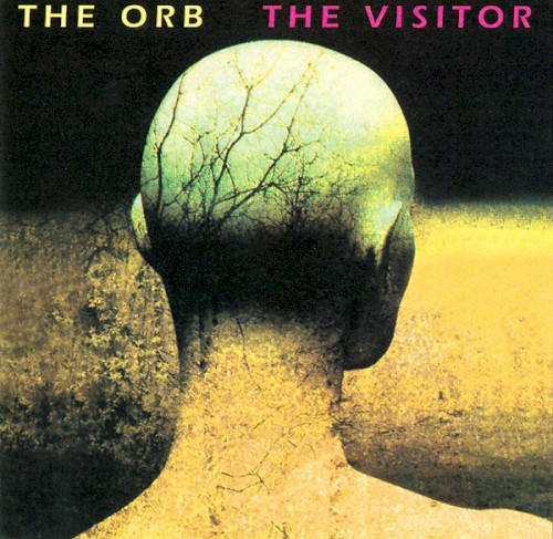 The Visitor