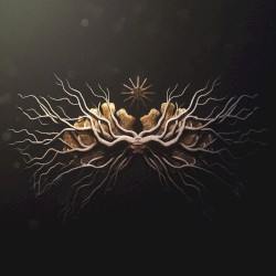 Axons / Primitivo