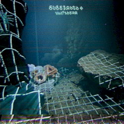 SUBSTRATA-4