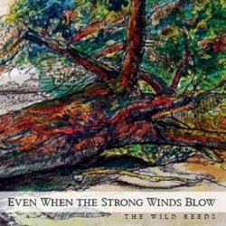 Even When the Strong Winds Blow