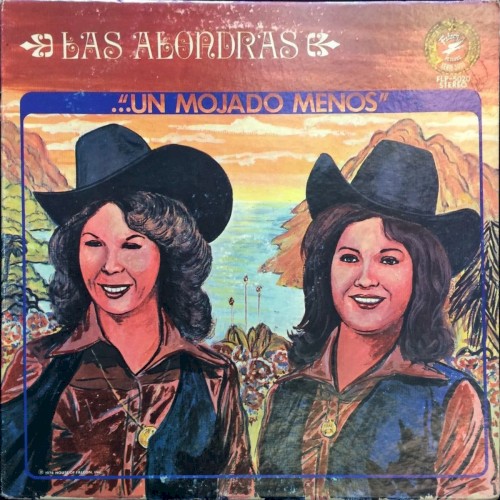 Un mojado menos