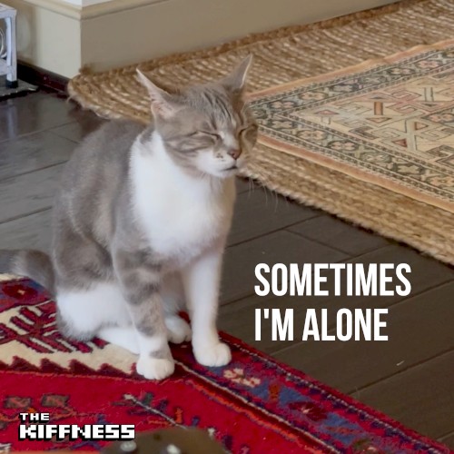 Sometimes I'm Alone (Lonely Cat)