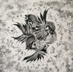 United Sparrows
