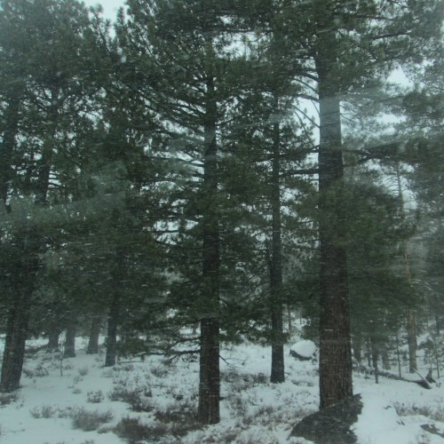 South Lake Tahoe, CA (12/12/2021)