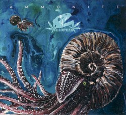 Ammonite