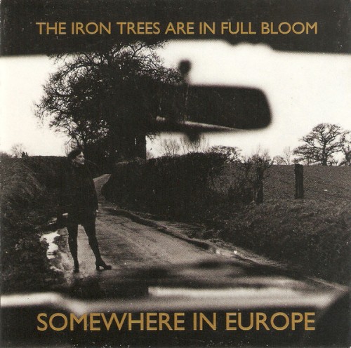 The Iron Trees Are in Full Bloom