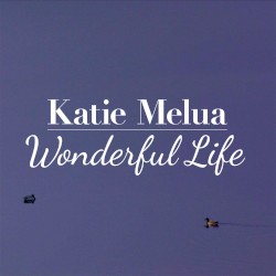 Wonderful Life