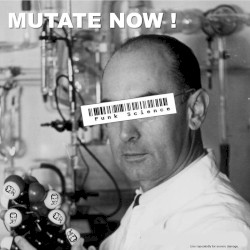Punk Science: No Frills!