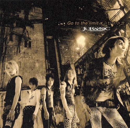 Go to the limit / 恋のかけら