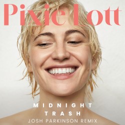 Midnight Trash (Josh Parkinson remix)