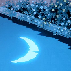 Moonlight Haiku.