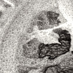 Fragment 3