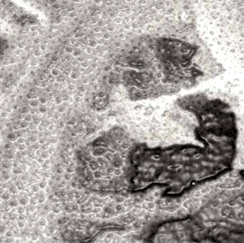 Fragment 3