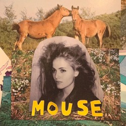 Mouse