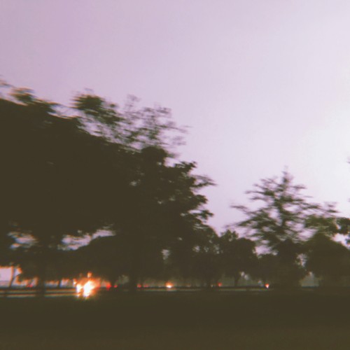 Daydream