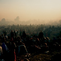 Down on Earth