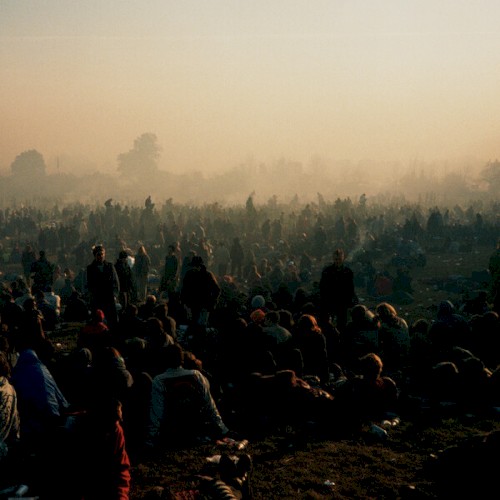 Down on Earth