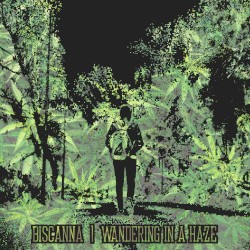 Wandering In A Haze