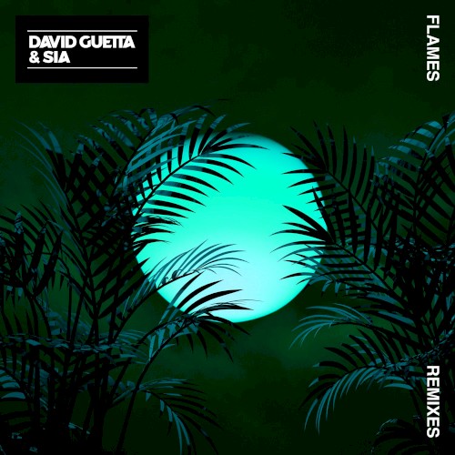 Flames (remixes)