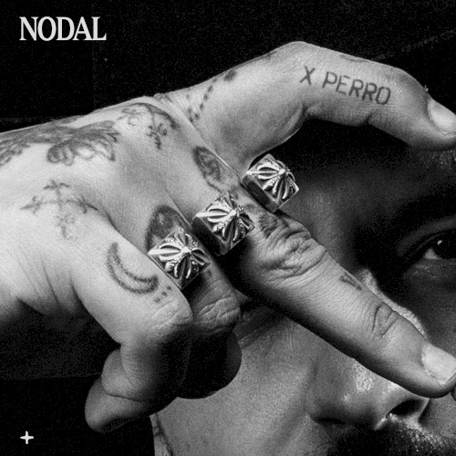 X perro